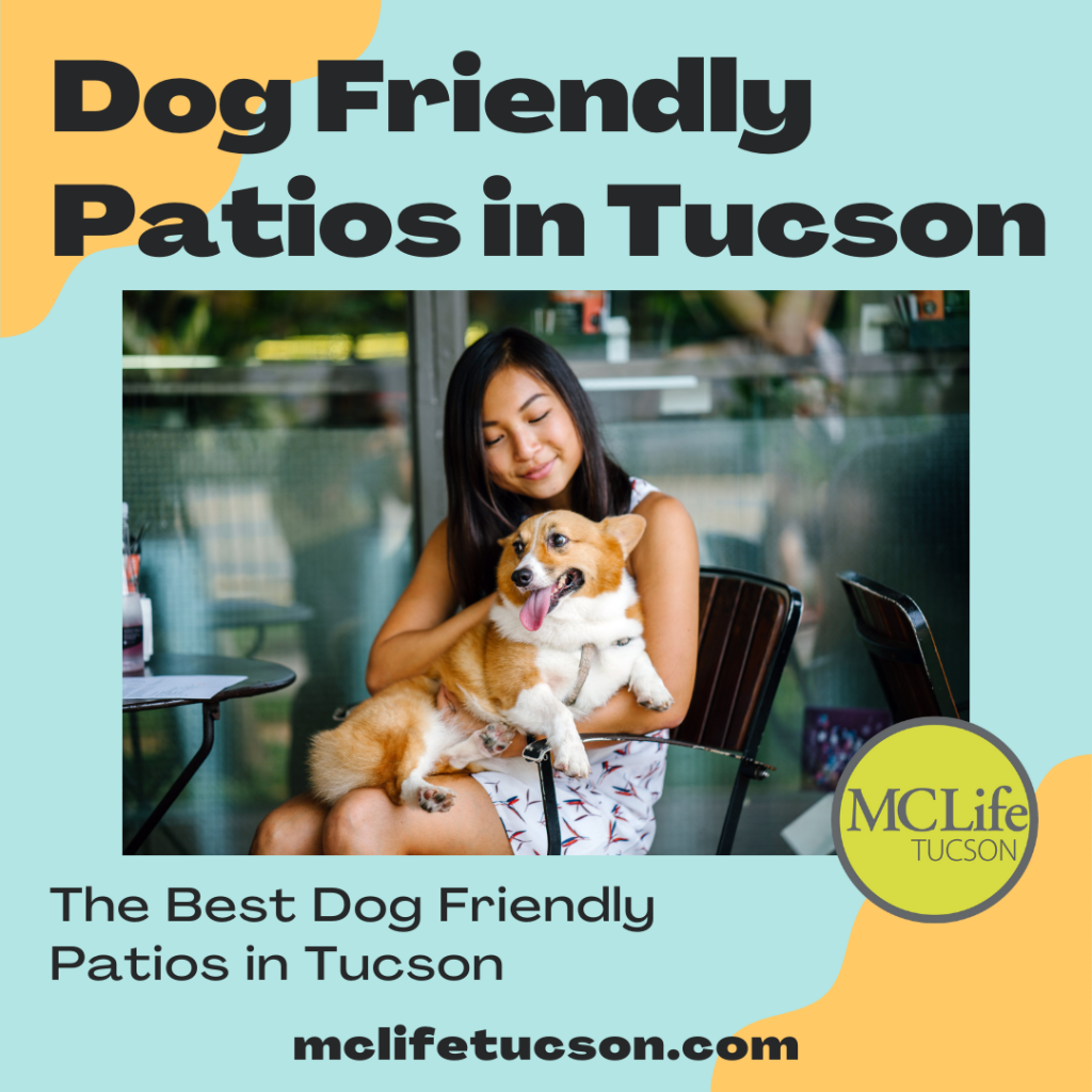 Image of woman holding a corgi dog on the patio of a restaurant. Text describes the article about dog friendly patios in tucson.