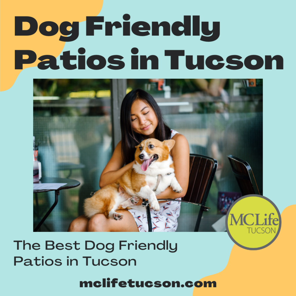 Image of woman holding a corgi dog on the patio of a restaurant.  Text describes the article about dog friendly patios in tucson.  