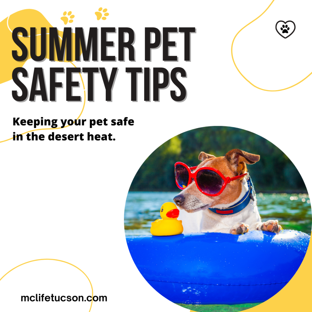 Summer Pet Safety Tips - MCLife Tucson - Apartment Communities