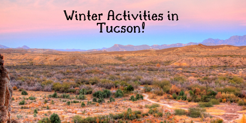 January In Tucson Winter Activities MCLife Tucson Apartment