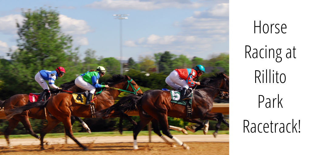 The Rillito Horse Track has been runing since 1943 and is a member of the National Historic Places registration. It is also the birthplcae of modern-day quarter-horse racing and the Photo Finish!