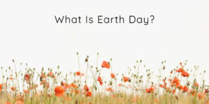 Earth Day is a worldwide celebration for the environmental movement. Over the years the goals have shifted but the goal remains the same, to be a voice of reason for the earth and to help reduce the impact of humans upon the place we all call home. 