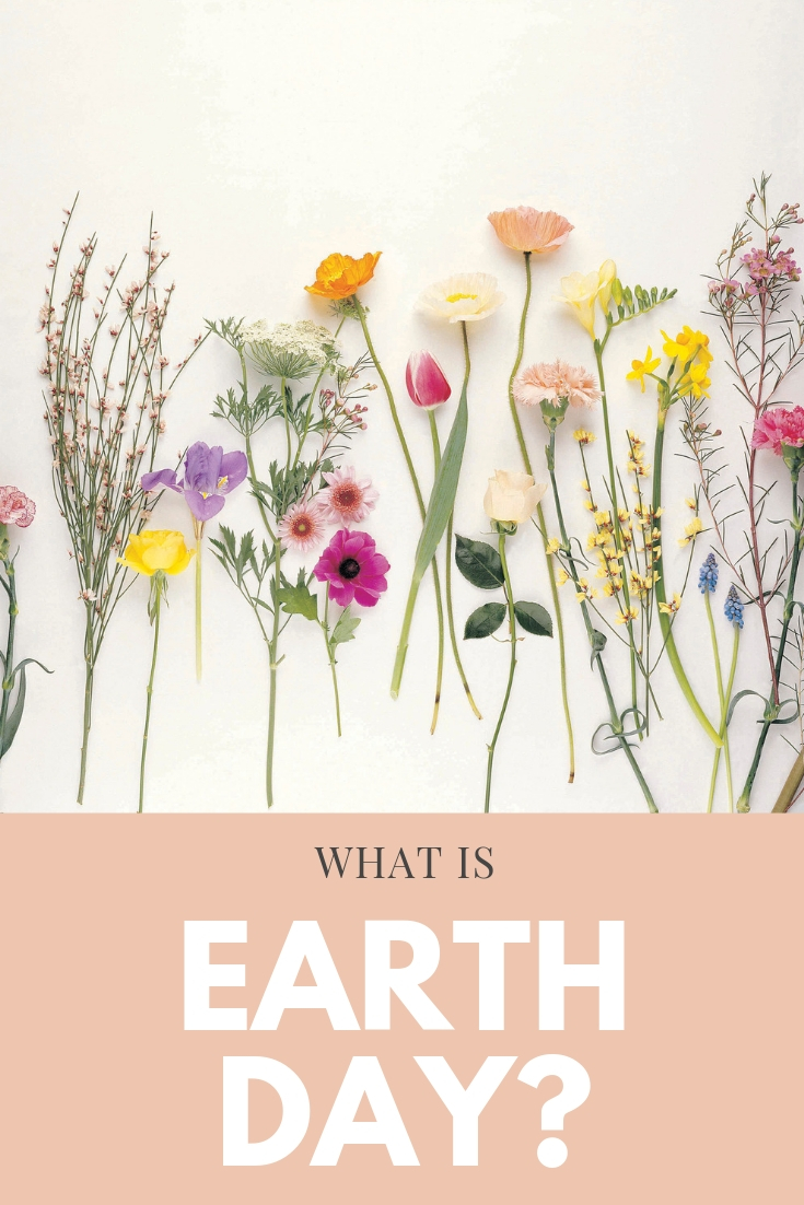 Earth Day is a worldwide celebration for the environmental movement. Over the years the goals have shifted but the goal remains the same, to be a voice of reason for the earth and to help reduce the impact of humans upon the place we all call home. 