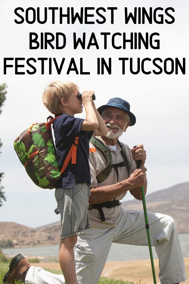 When it comes to Tucson events you might be shying away from anything outdoors for the summer. Don't let that be the case from July 31st to August 3rd! You won't want to miss the Southwest Wings bird watching and nature festival. 