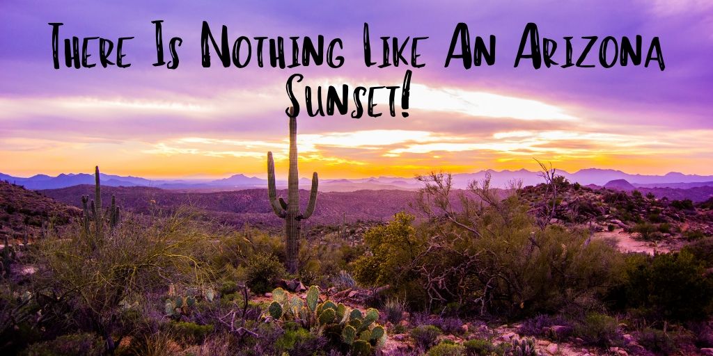 There is nothing like an Arizona sunset. Catch a solar masterpiece from up high on top of Tumamoc Hill. It's a little work to get to the top, but your payoff is gorgeous views of the city.
