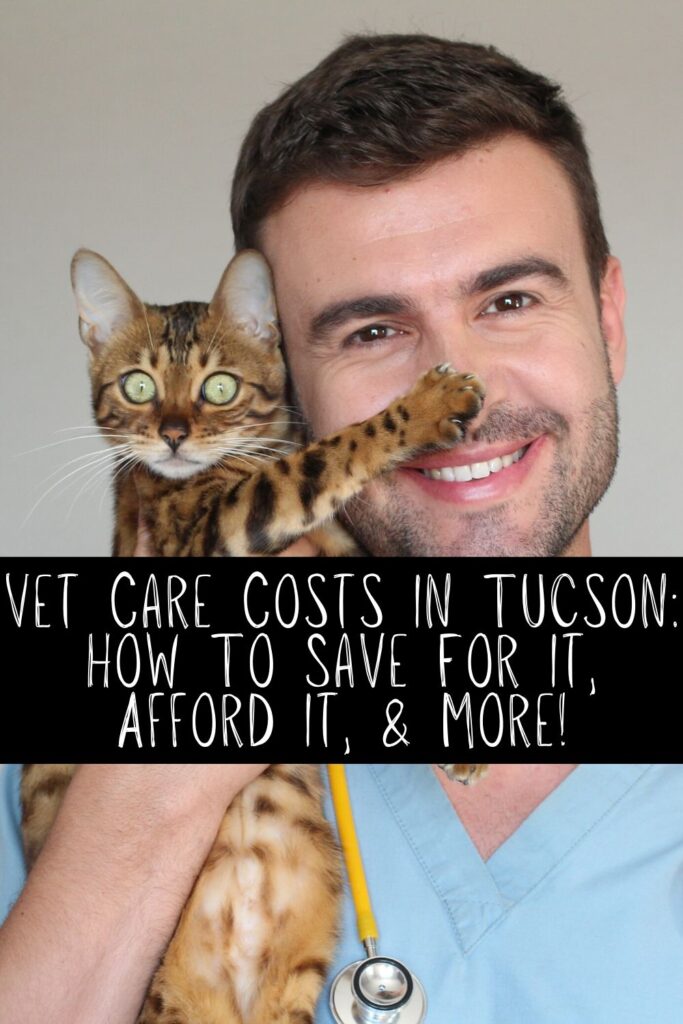 Vet Care Costs In Tucson How To Save For It, Afford It, & More