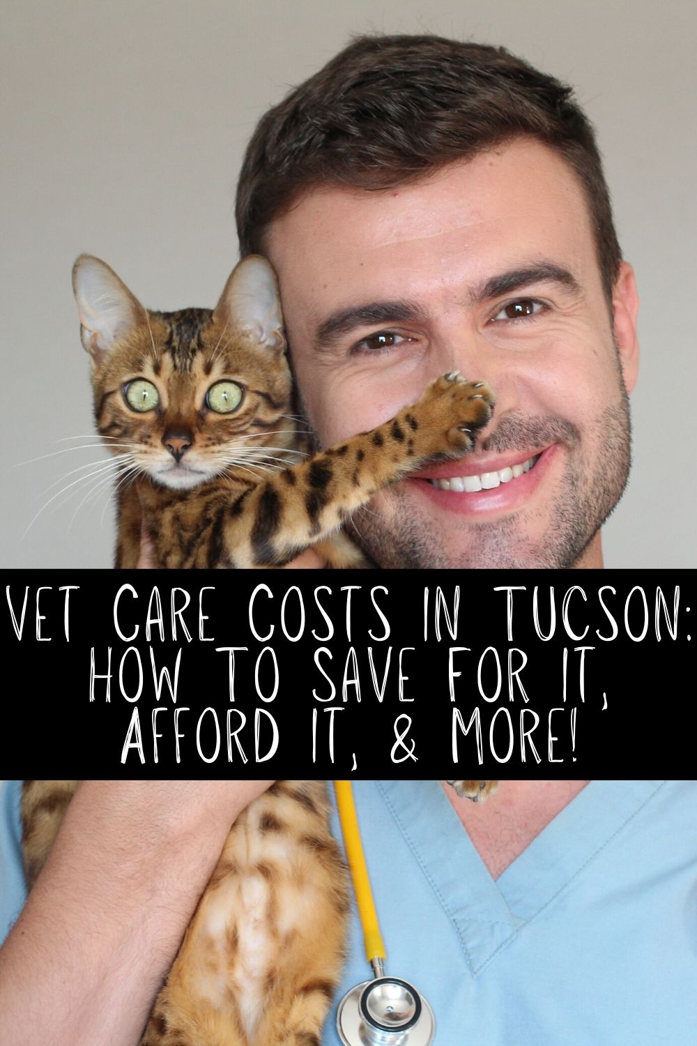 Vet Care Costs In Tucson How To Save For It Afford It More