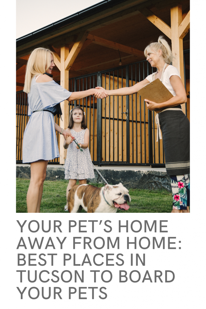 Your Pet s Home Away from Home Best Places in Tucson to Board