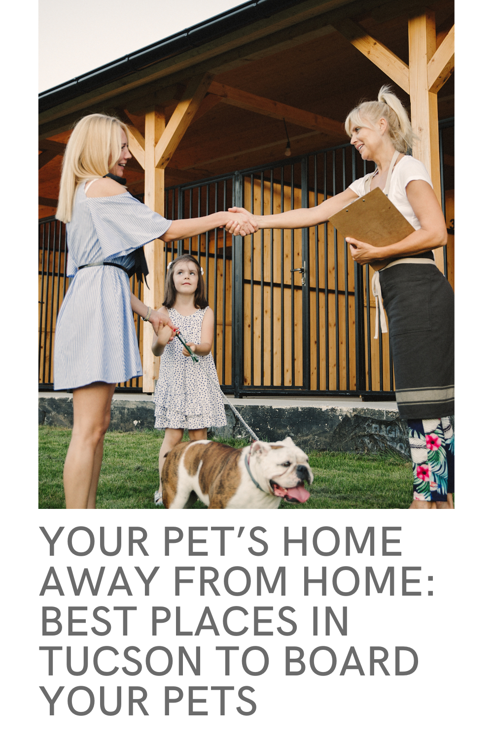 Your Pet’s Home Away from Home Best Places in Tucson to Board Your