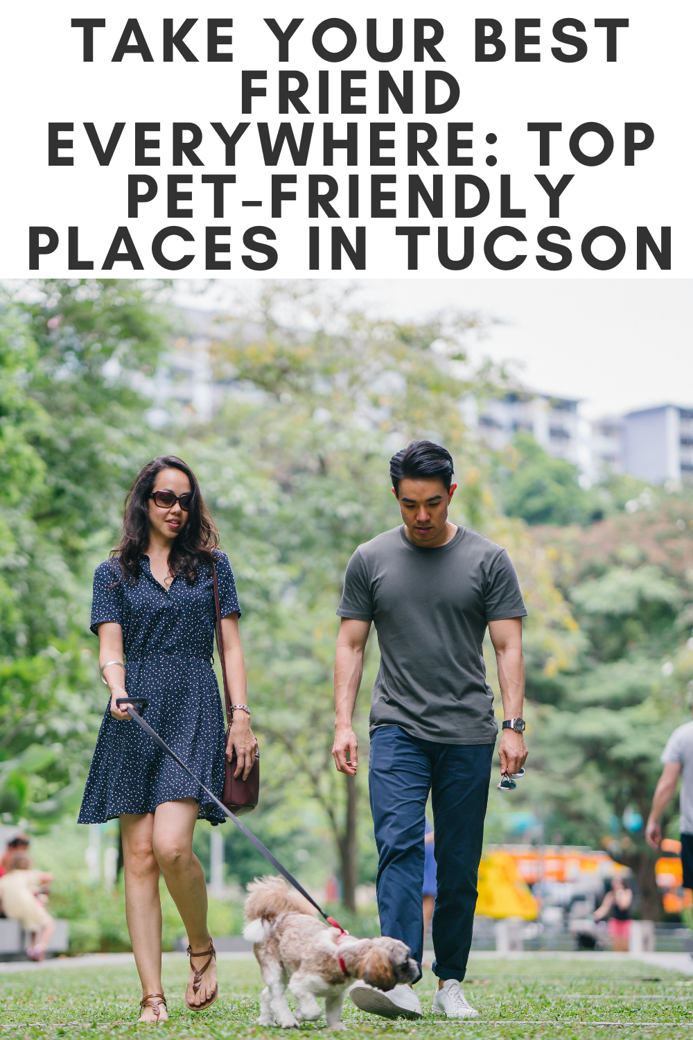 Take Your Best Friend Everywhere Top PetFriendly Places in Tucson