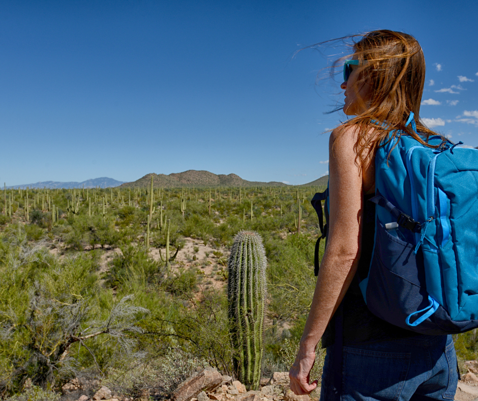 featured image showing a view of a hiker in Tucson with a backpack looking over the desert landscape