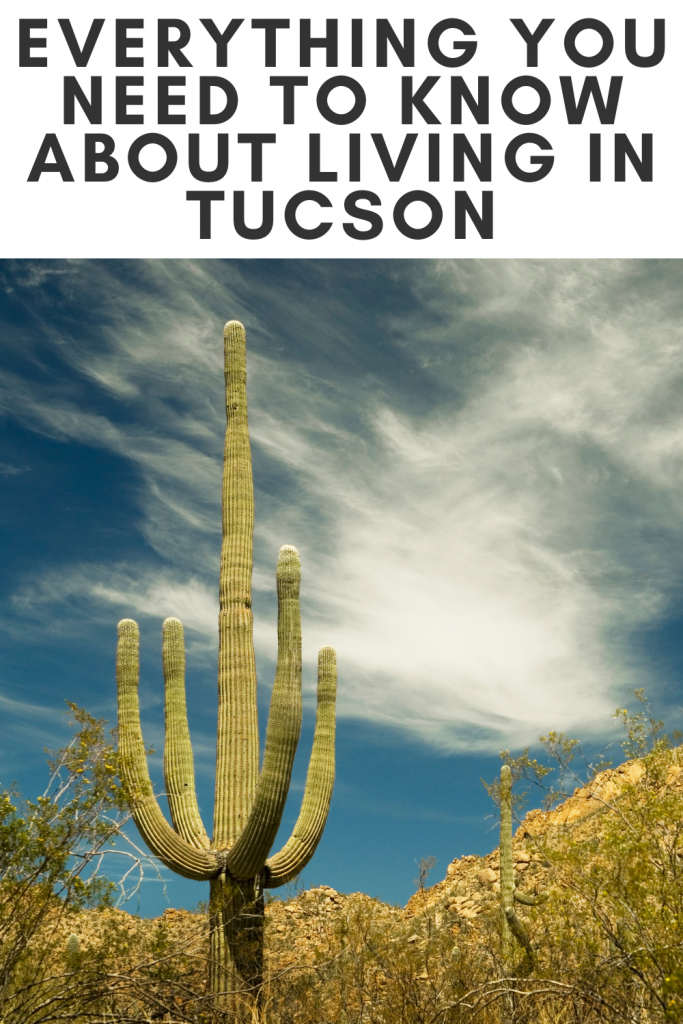 Tall saguaro cactus located near the desert mountains of Tucson.  The sky is partly cloudy.  
